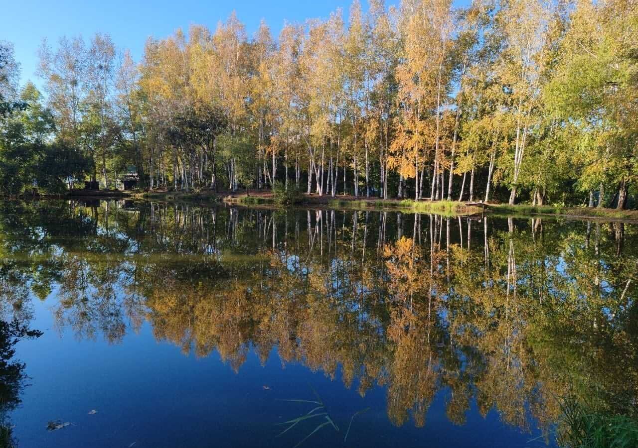 дом р-н Хабаровский Мичуринское сельское поселение, СДТ Азимут, Хабаровск фото 17