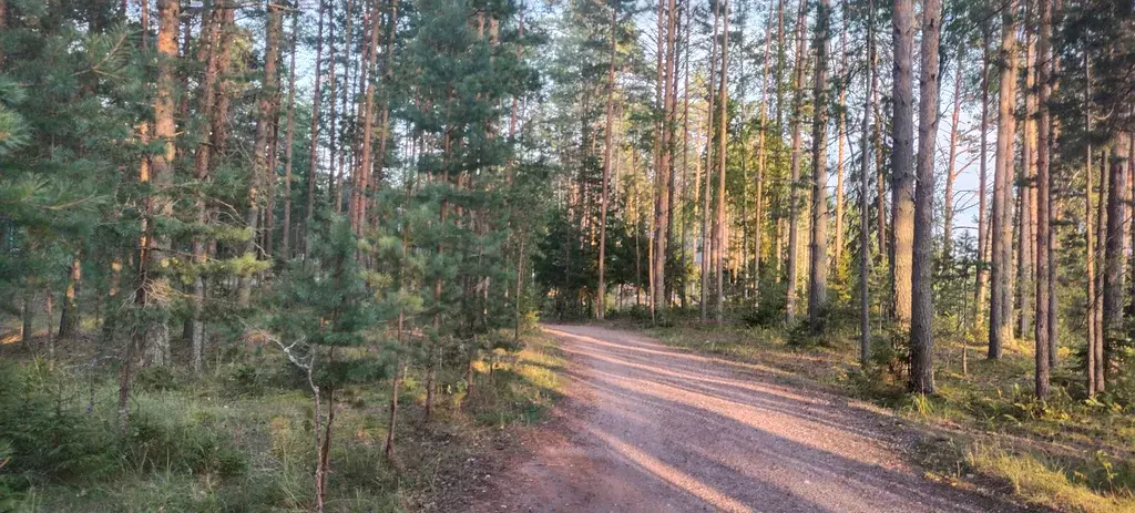 дом р-н Селижаровский нп Турбаза "Чайка" ул Лесная 14 фото 18