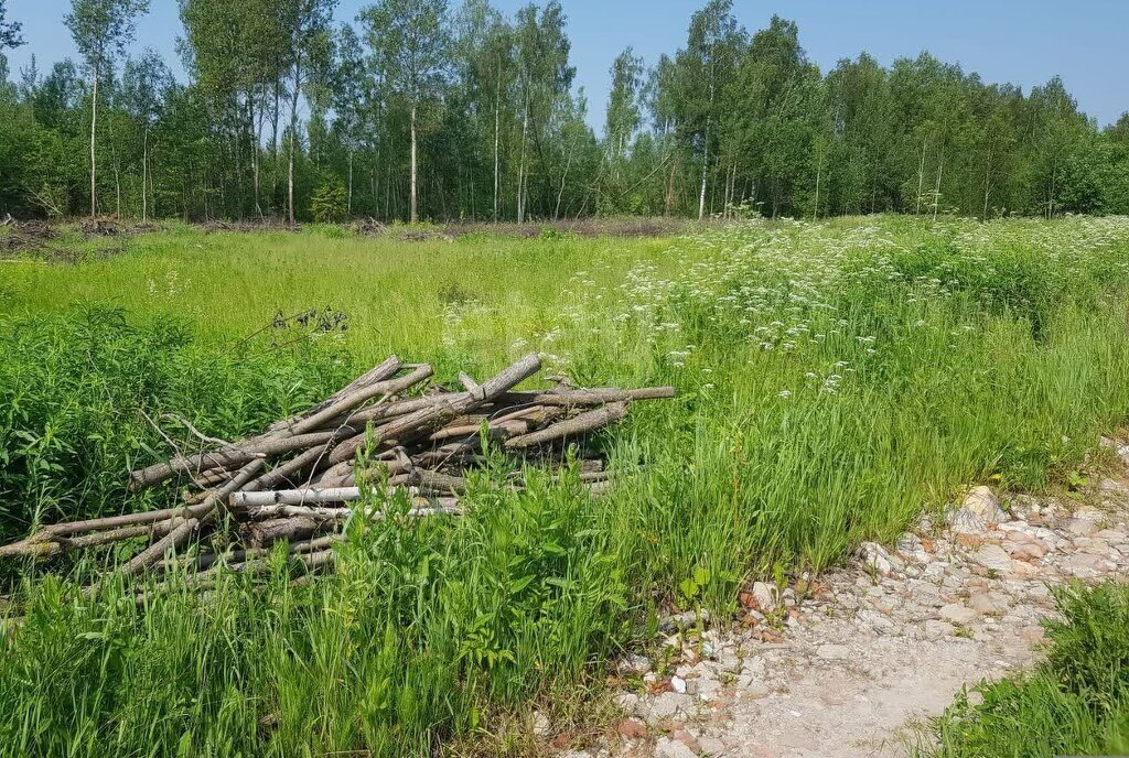 земля городской округ Орехово-Зуевский коттеджный посёлок Жемчужный фото 1