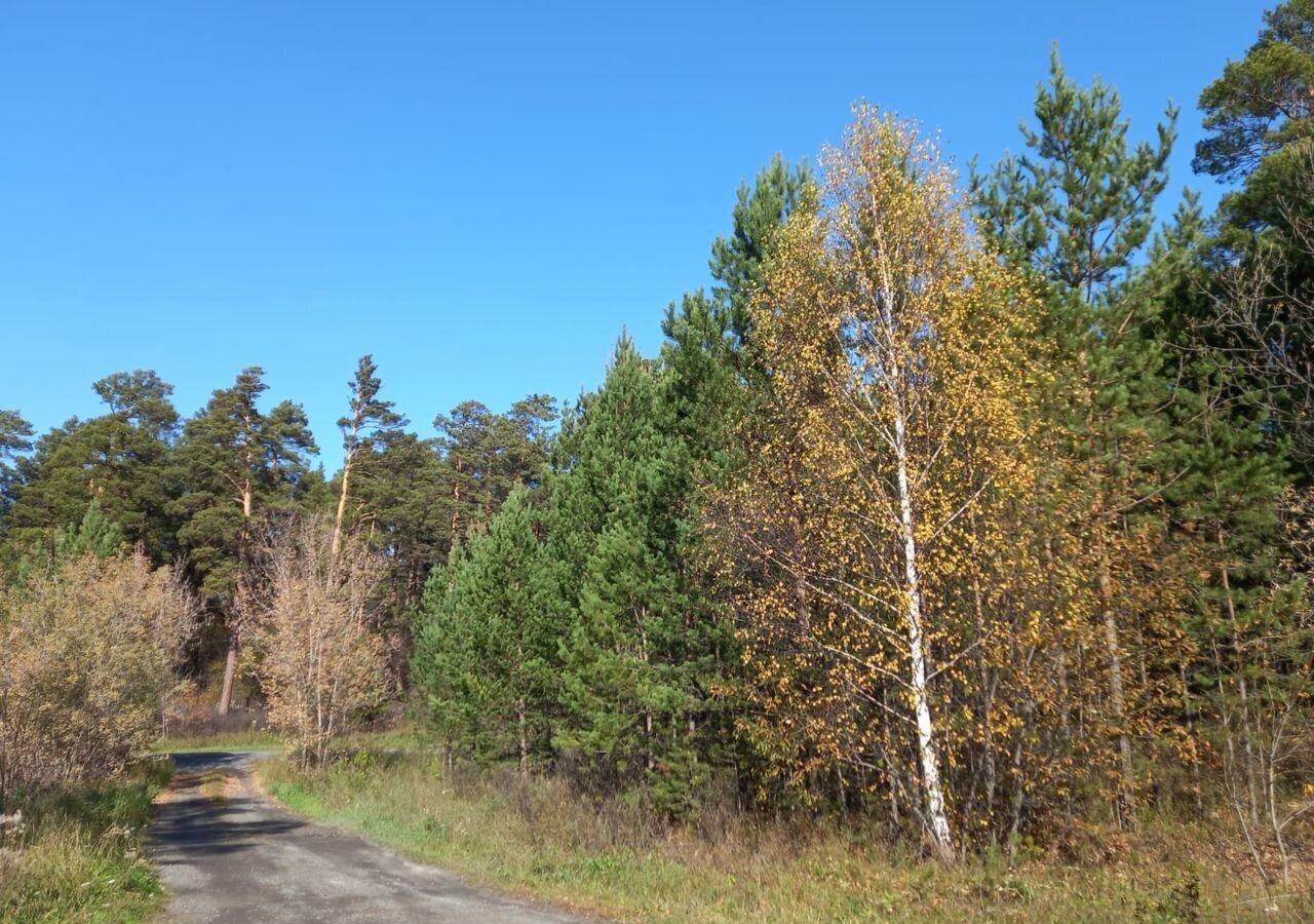 земля р-н Тогучинский г Тогучин ул Заводская 85 городское поселение Тогучин фото 2