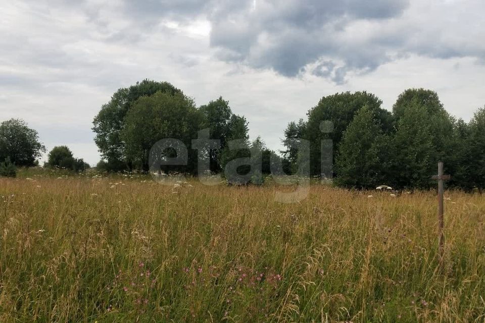 земля городской округ Талдомский фото 1