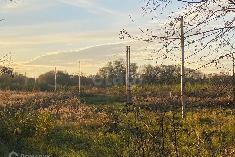 земля городской округ Коломенский п Пески ул Дачная Коломна городской округ фото 2