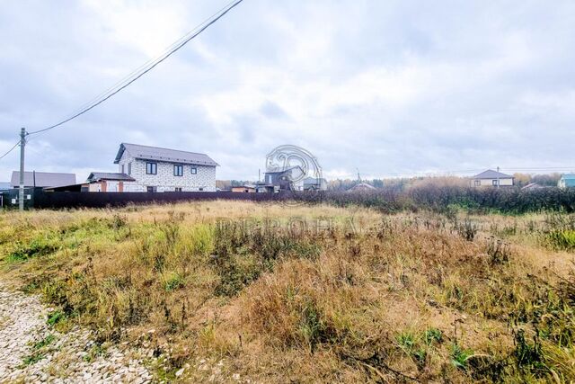 земля Московская область, Богородский городской округ фото