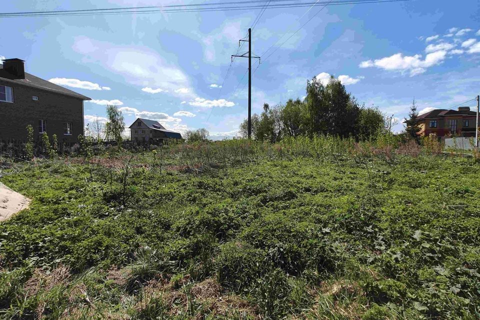 земля городской округ Бор, Полевая улица, деревня Квасово фото 3