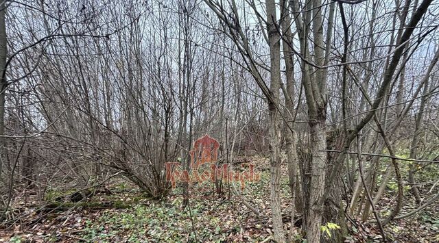 Краснопламенское муниципальное образование, 19 фото Краснопламенское муниципальное образование, 19 фото