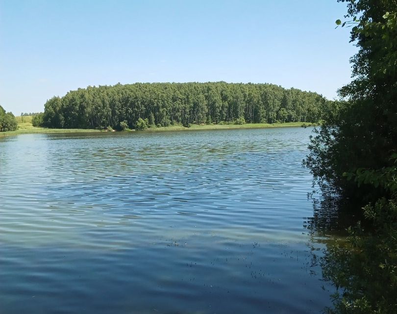 земля р-н Смоленский д Замятлино ул Малиновая фото 1