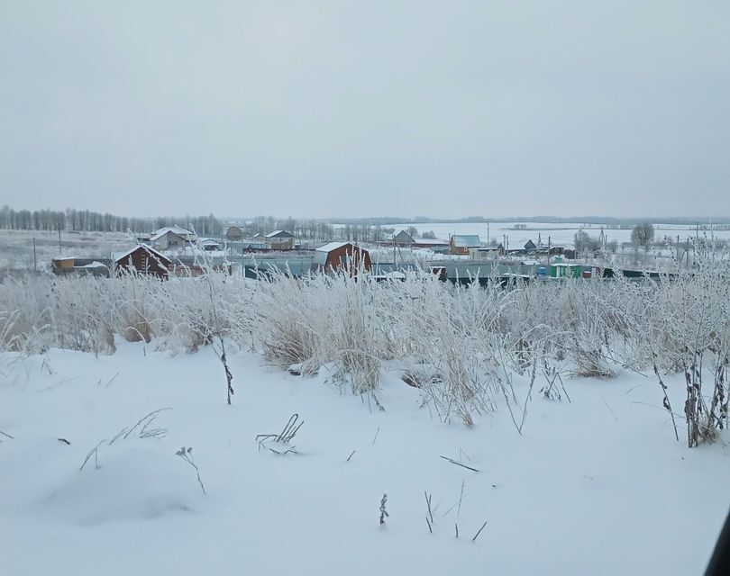 земля р-н Смоленский д Замятлино ул Малиновая фото 6