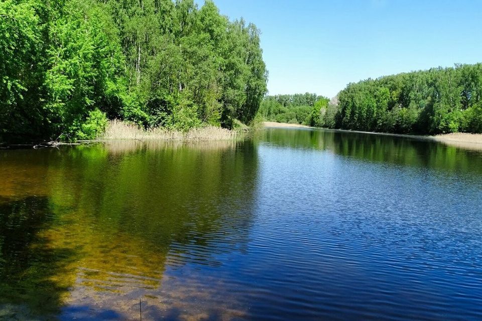 земля р-н Смоленский д Замятлино ул Малиновая фото 6