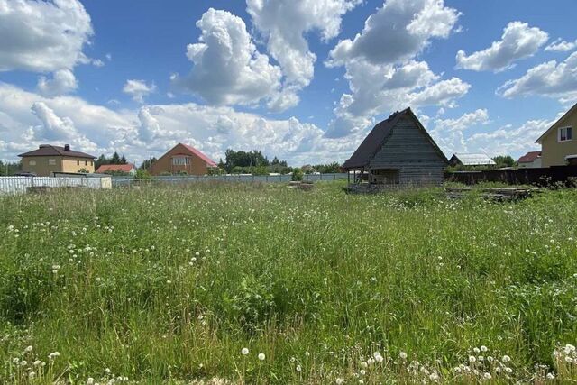 деревня Цыбульники фото