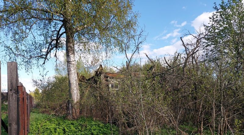 земля р-н Малоярославецкий с Поречье ул Центральная Село Недельное с/пос фото 7