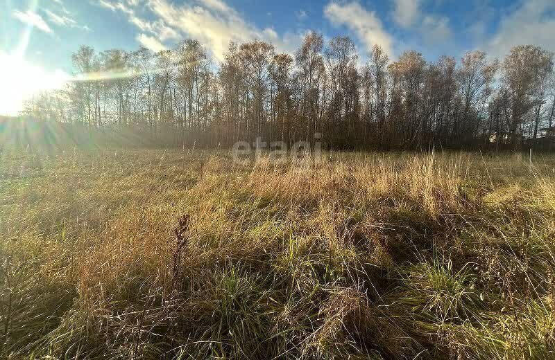 земля городской округ Серпухов д Райсеменовское фото 4