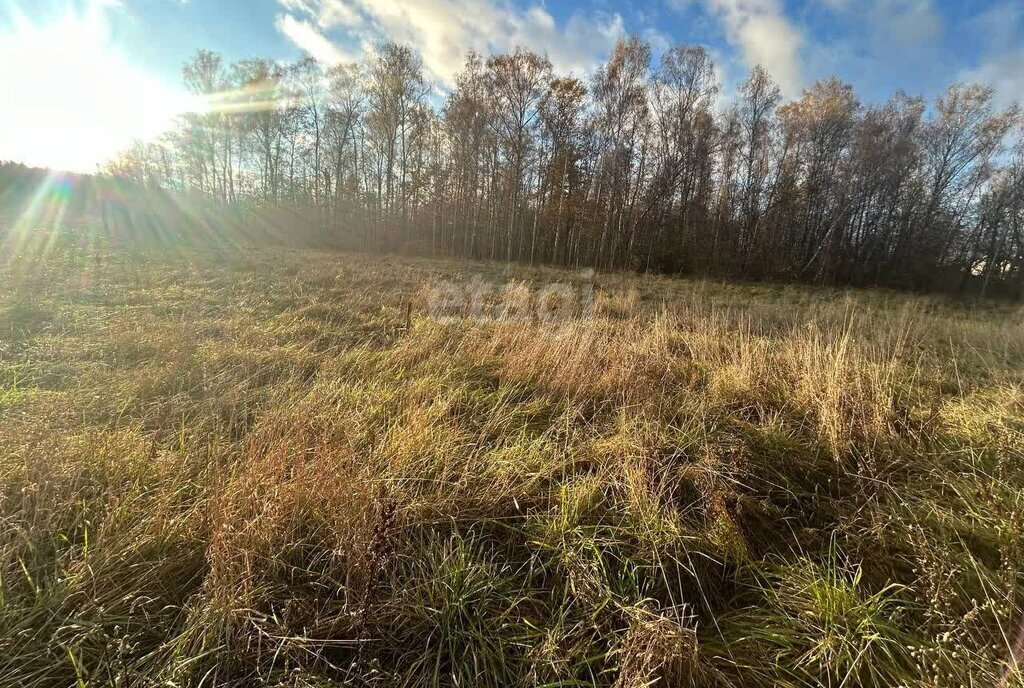 земля городской округ Серпухов д Райсеменовское фото 9