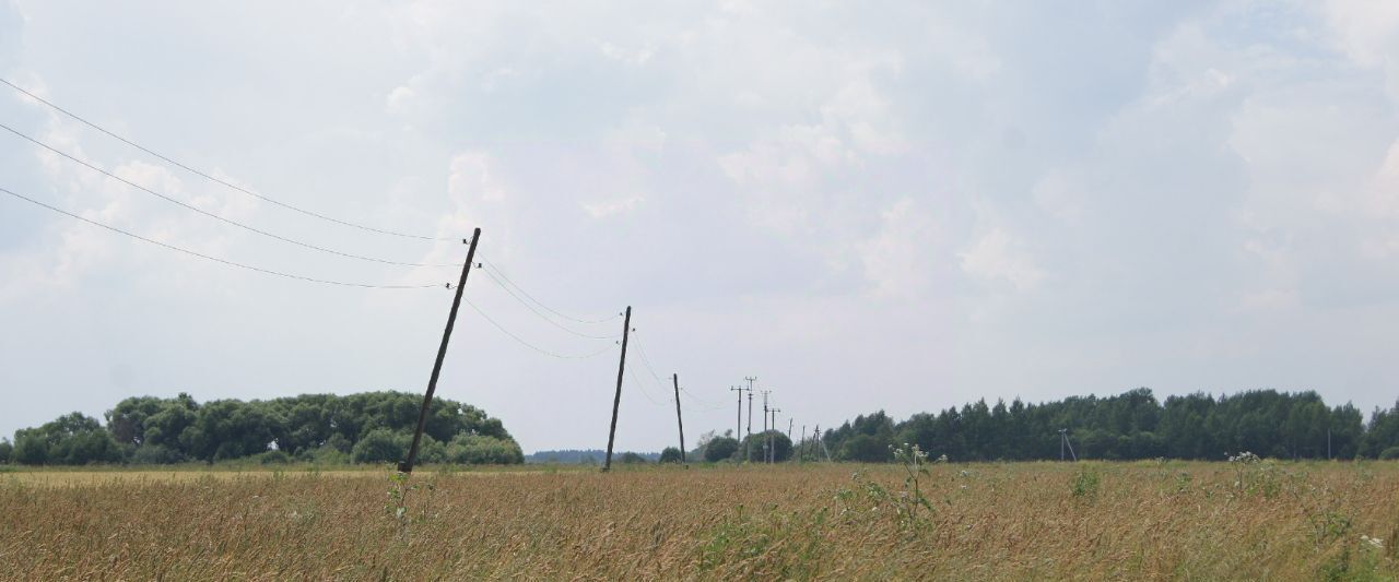 земля городской округ Клин д Губино днт Чистые пруды фото 3