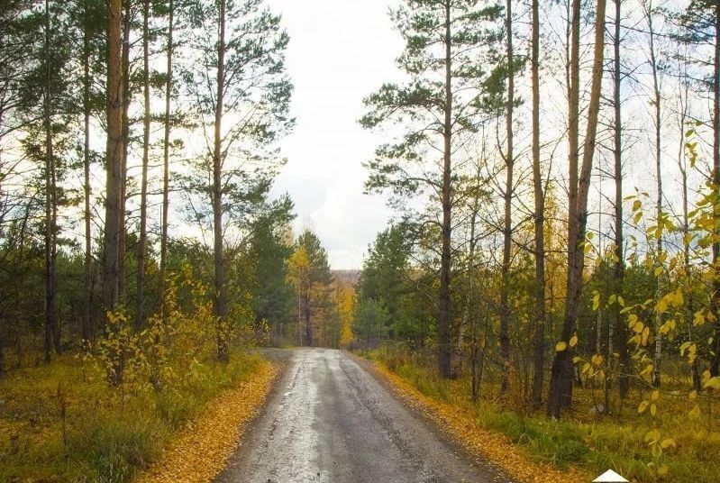 земля р-н Зеленодольский Республика Татарстан Татарстан, Большекургузинское сельское поселение, Казань фото 18