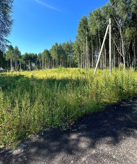 земля городской округ Дмитровский д Малые Дубровки фото 20