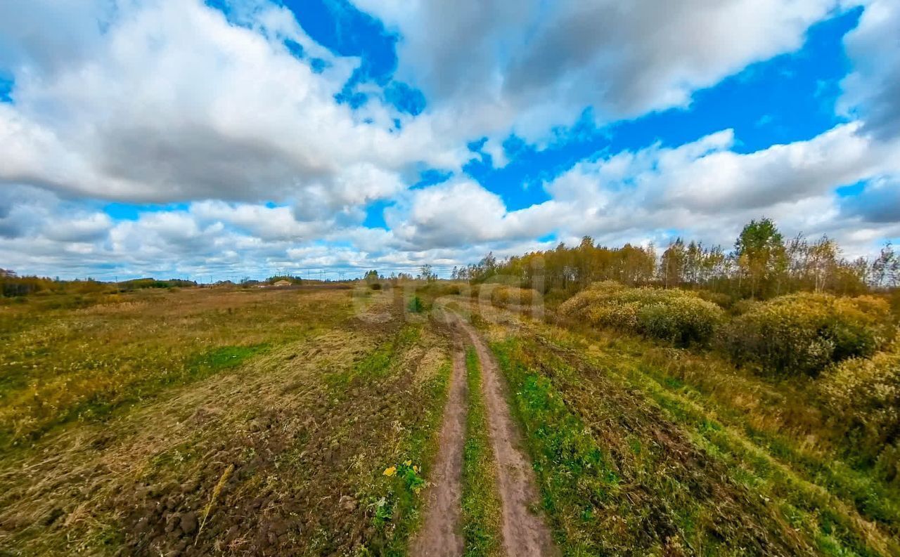 земля р-н Тюменский с Борки Каскара фото 8