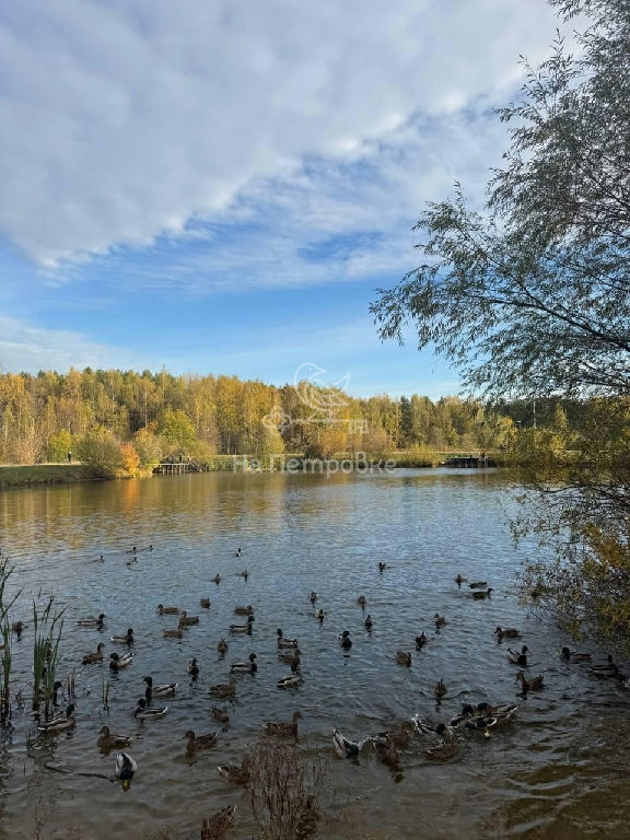 квартира городской округ Щёлково г. Неделина ул., 26 фото 9