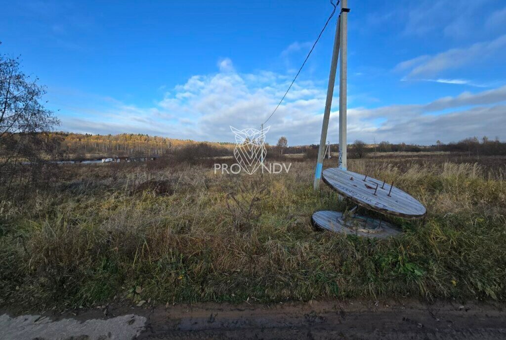 земля городской округ Пушкинский д Митрополье фото 8