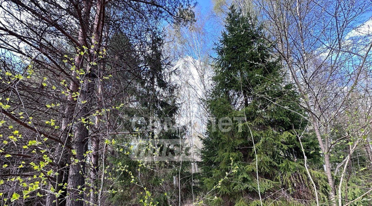 земля р-н Переславский д Криушкино Переславль-Залесский городской округ фото 2