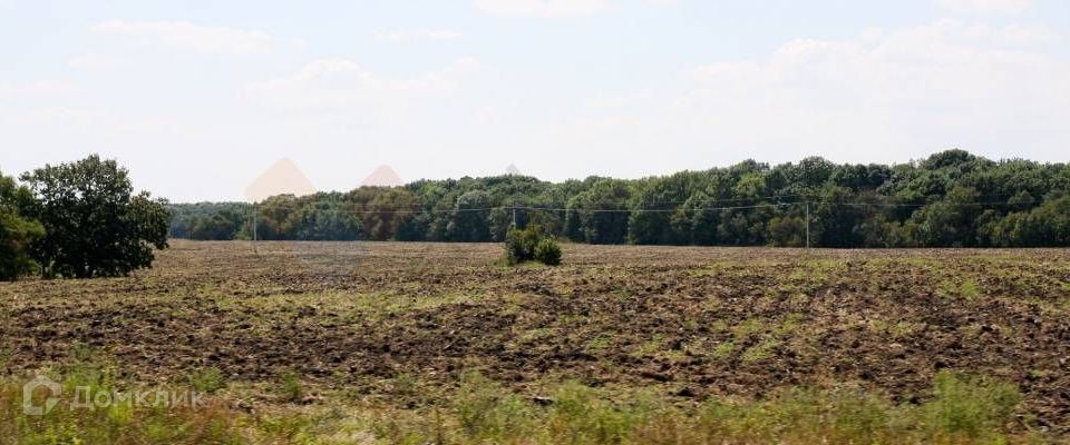 земля р-н Тахтамукайский Республика Адыгея Адыгея, хутор Красноармейский фото 3