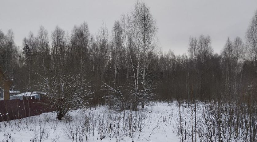 офис городской округ Дмитровский д Сокольники фото 1