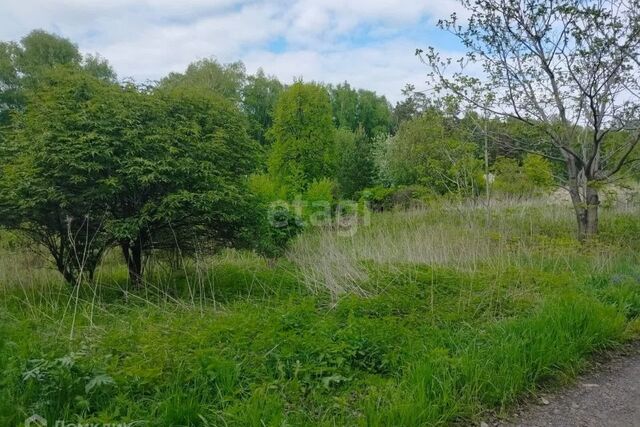 ЗАТО Железногорск городской округ, СТ Рассвет фото