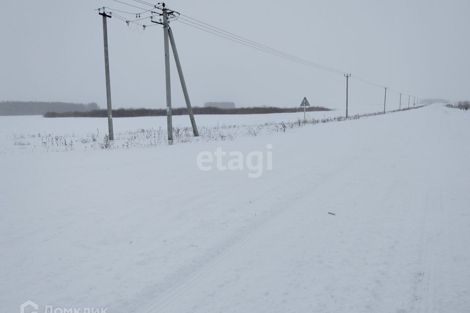 земля р-н Тюменский Кулаково фото 5