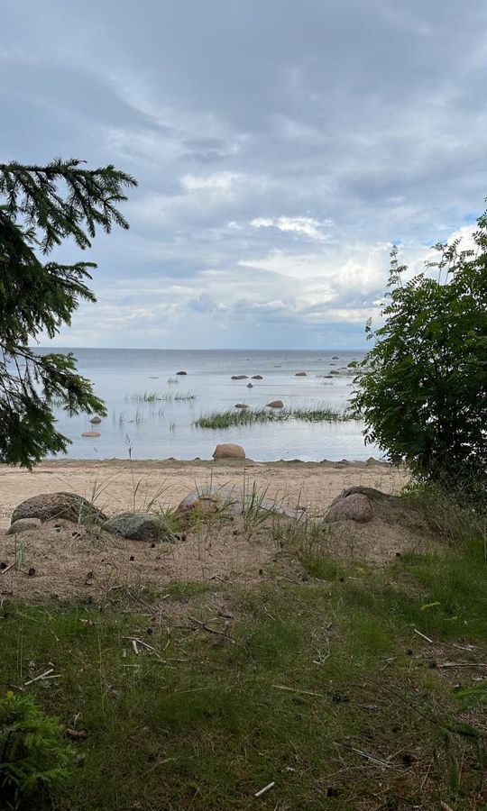 земля р-н Ломоносовский д Шепелево Лебяженское городское поселение, Сосновый Бор фото 3