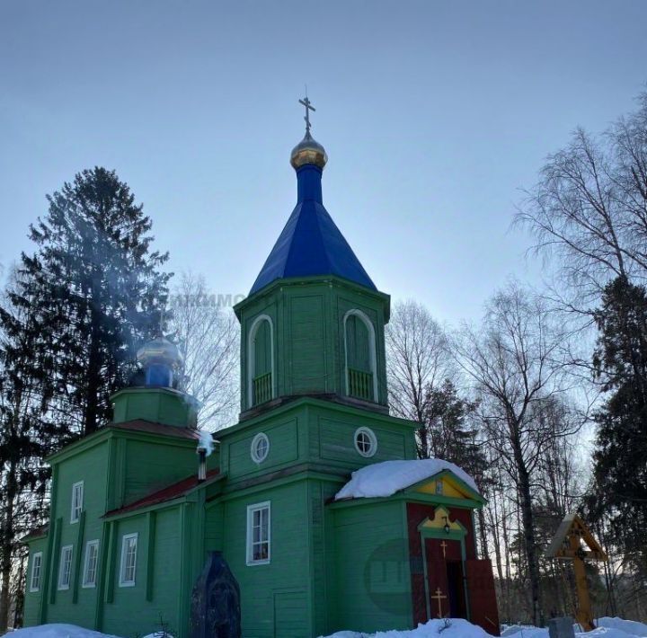 земля р-н Лодейнопольский с Алеховщина Алеховщинское с/пос фото 16