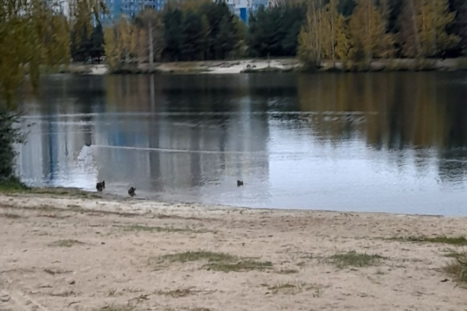 квартира г Нижний Новгород р-н Автозаводский Нижний Новгород городской округ, Красных Партизан, 4/4 фото 9