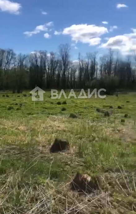 земля городской округ Шаховская д Лукошкино ул Лесная фото 2