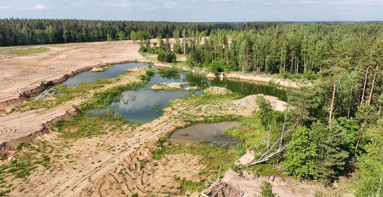 земля городской округ Богородский г Электроугли 21 км, коттеджный пос. Восточная д, Носовихинское шоссе фото 1