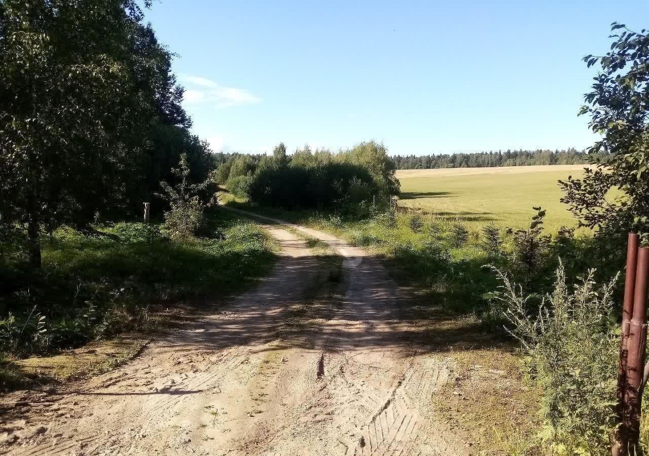 земля городской округ Дмитровский с Ольгово 43 км, Яхрома, Рогачёвское шоссе фото 7