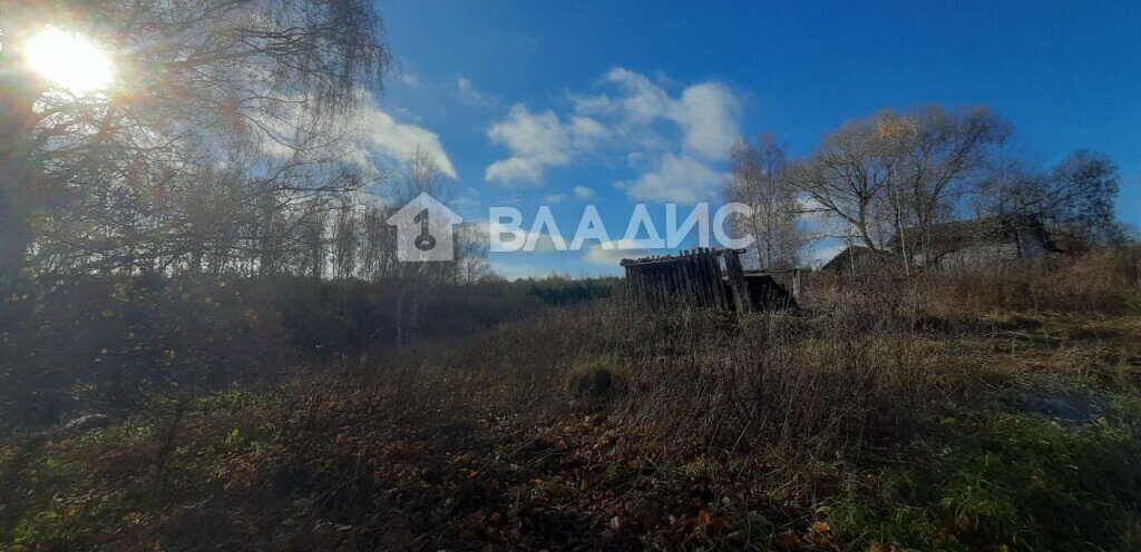 земля р-н Суздальский д Бородино ул Бородинская 2а муниципальное образование Новоалександровское фото 8