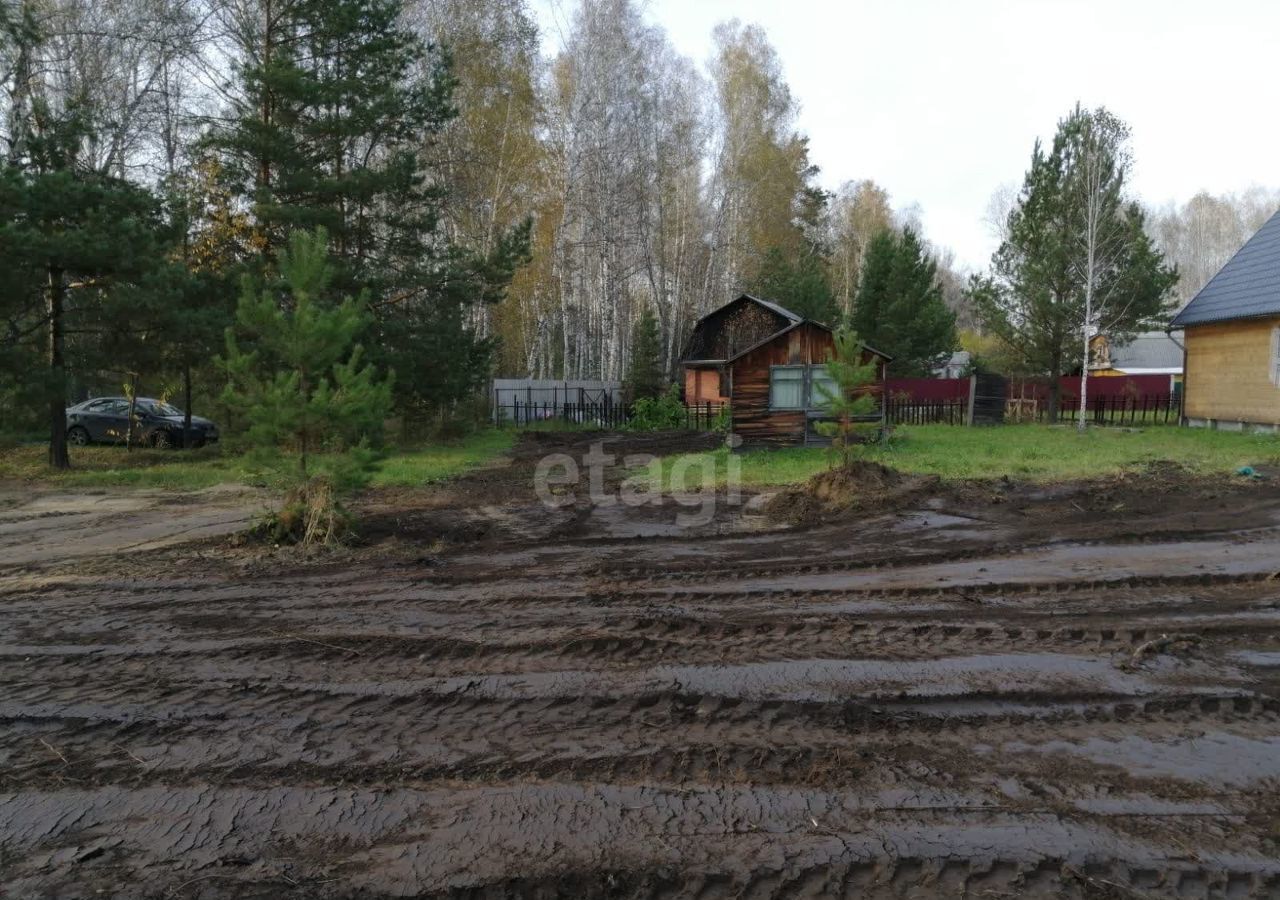 земля р-н Новосибирский днп терЛесные дачи Краснояровское шоссе, 17 км, Станционный сельсовет, Новосибирск фото 8