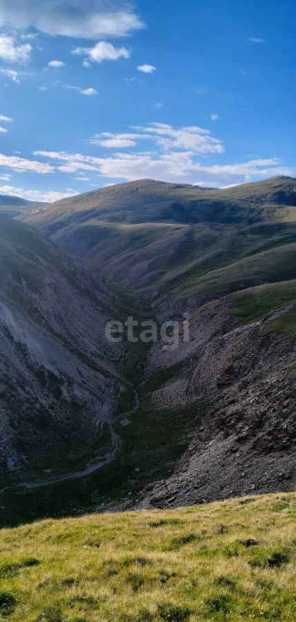 земля р-н Кош-Агачский с Теленгит-Сортогой Кош-Агач фото 9