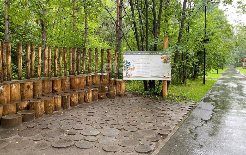 земля г Новосибирск р-н Заельцовский Заельцовская тер Заельцовский Парк фото 8