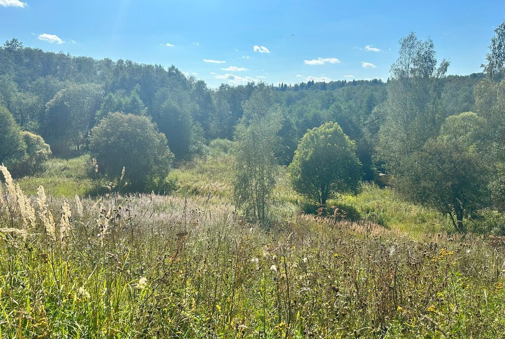 земля городской округ Клин д Вертково фото 9