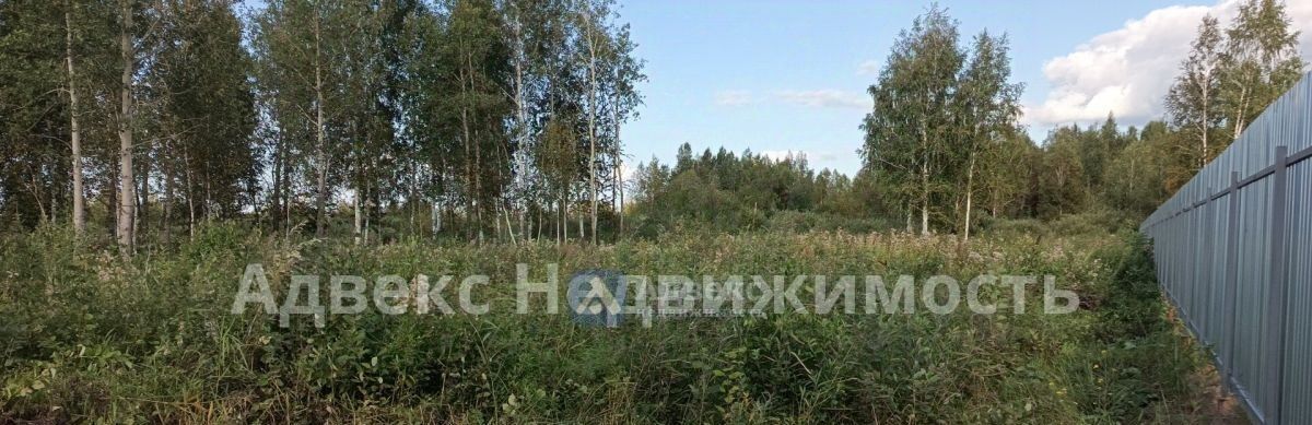 земля г Тюмень р-н Центральный снт Липовый остров ул 5-я Западная фото 2