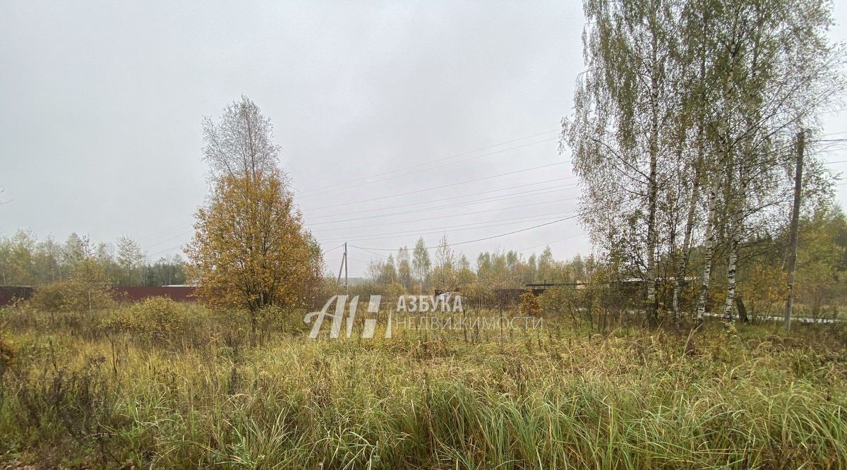 земля городской округ Рузский п Дорохово ул Садовая фото 7