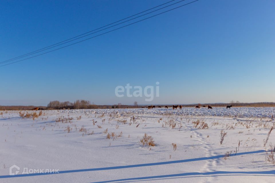 земля г Хабаровск р-н Железнодорожный ш Матвеевское городской округ Хабаровск фото 8