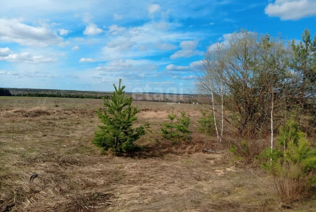 земля р-н Богородский д Инютино фото 1