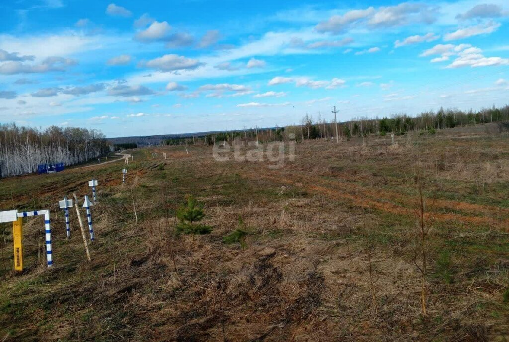 земля р-н Богородский д Касаниха фото 5