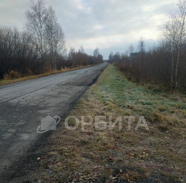 земля г Тюмень р-н Центральный снт Строитель-1 ул Энергетиков 40 фото 14