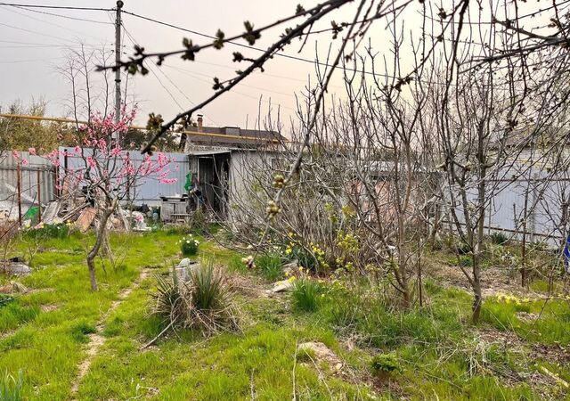 р-н Балаклавский Балаклавский муниципальный округ, садоводческое товарищество Дергачи-4, 120, Крым фото