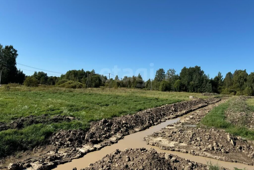 земля р-н Приозерский д Силино Красноозёрное сельское поселение фото 7