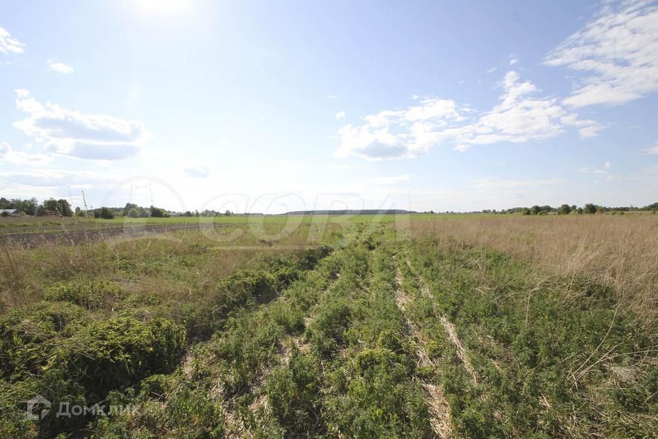 земля г Тюмень городской округ Тюмень, Ленинский округ фото 4