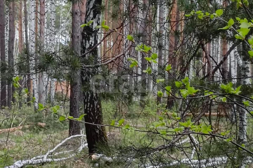 земля городской округ Ревда, село Кунгурка фото 5