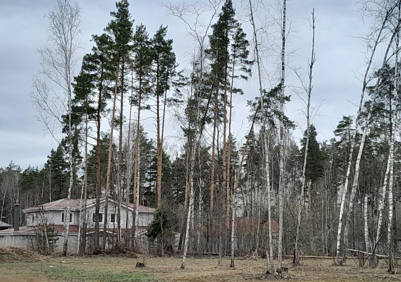 земля городской округ Богородский г Электроугли 21 км, коттеджный пос. Восточная д, Носовихинское шоссе фото 38