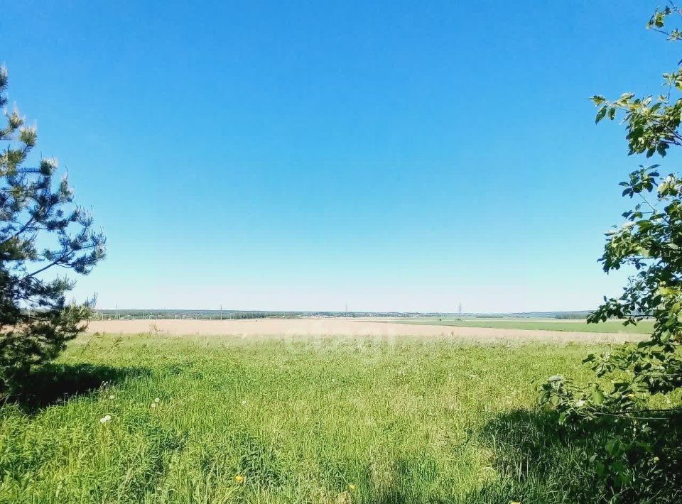 земля р-н Тарусский с Волковское ул Молодежная фото 1